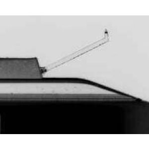 画像: ラウンデールリサーチ と むさしのふぉん の関係