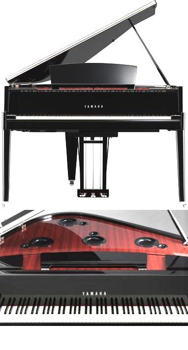 画像: ■８８鍵のグランドピアノの帯域を再現するのに大口径ウーファーとホーンスコーカーとツィターが必要ですか？？クラシック音楽に特化した..純金（..24K..)振動板..スピーカーシステム（黄金比率.BOX入り）..オーディオマシン的スピーカーではなく、楽器的スピーカーを！