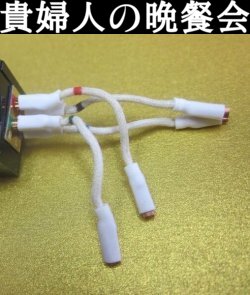 画像: リード線には、方向性がありますので、添付画像のように